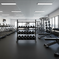 FitnessKing Multi Storage Rack Solid Shelves