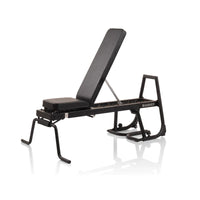 Hammer Bench Pullup & Dip