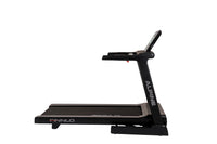 Hammer Alpine TFT loopband