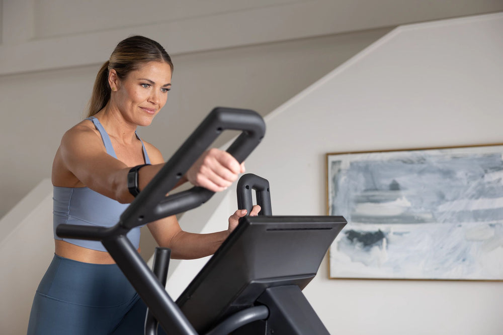 NordicTrack Step Climber