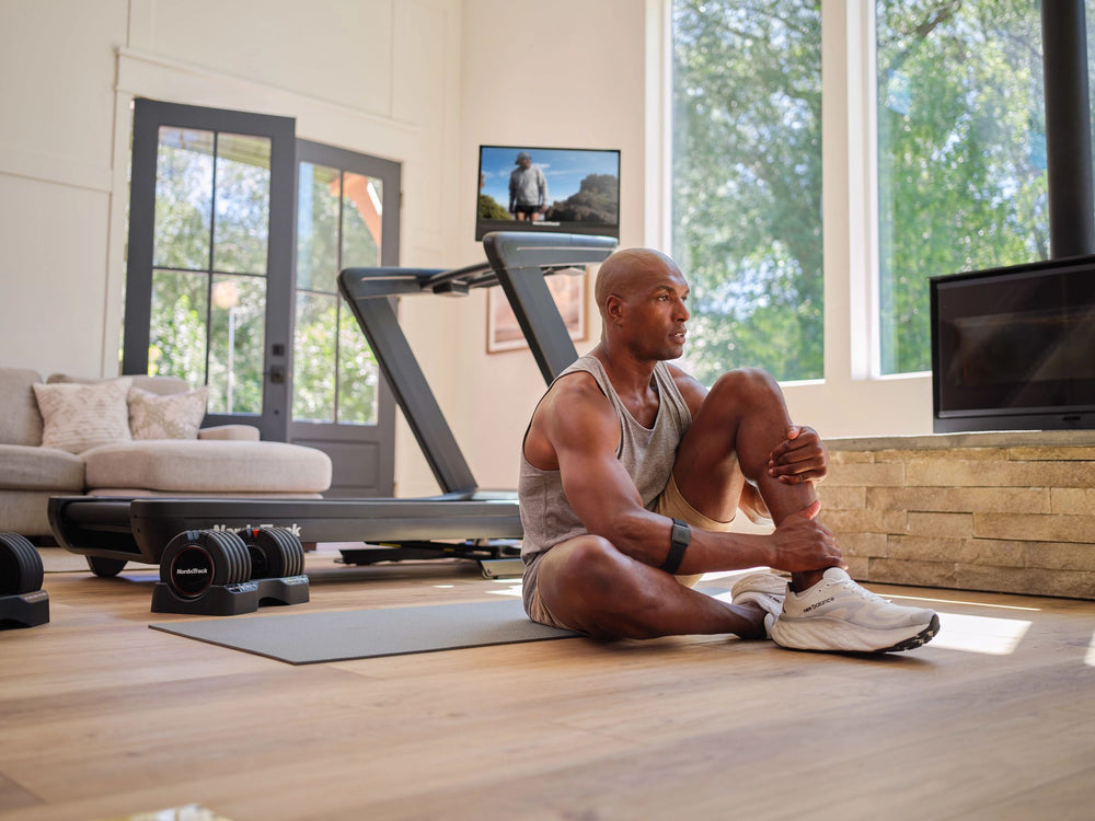 NordicTrack Commercial 2450 loopband