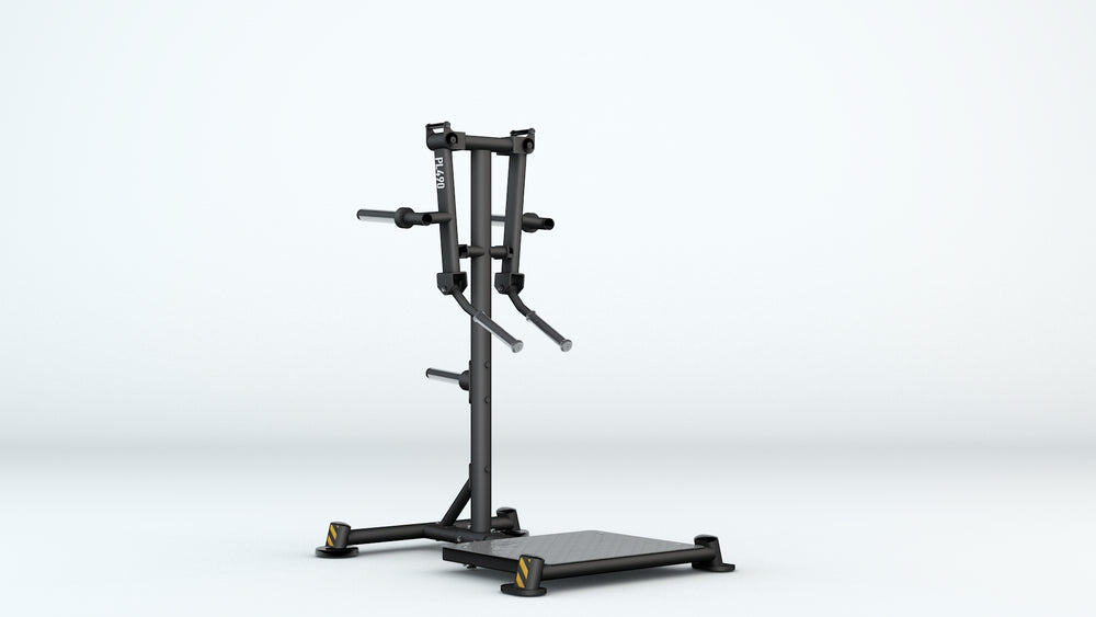 BH Fitness Élévations latérales debout PL490