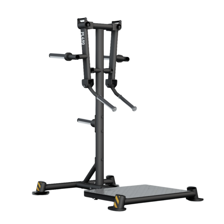 BH Fitness Élévations latérales debout PL490