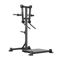 BH Fitness Standing Lateral Raises PL490