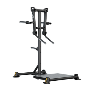 BH Fitness Élévations latérales debout PL490