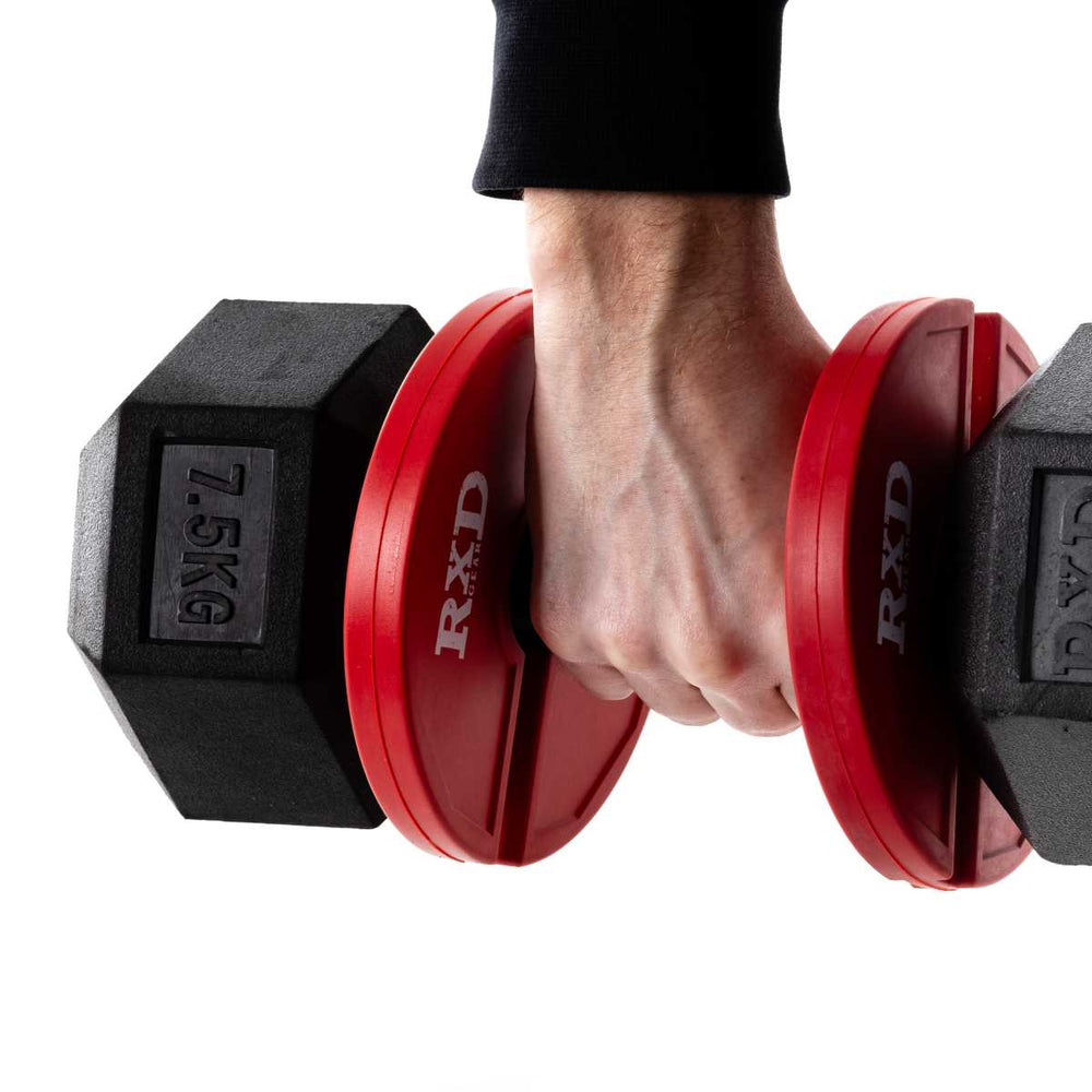 Ensemble de plaques de rechange complémentaires RXD 1 kg