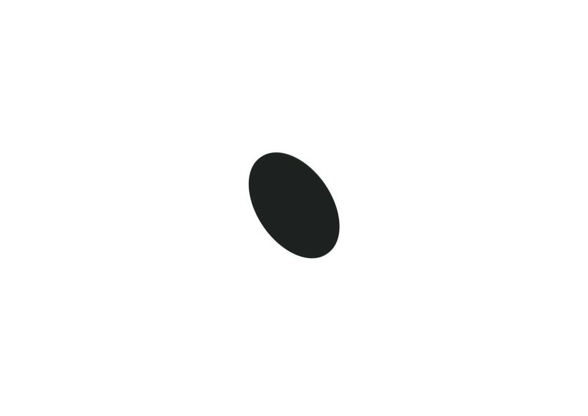 RXD Wall Ball Target (Plate Only) – FitnessKing