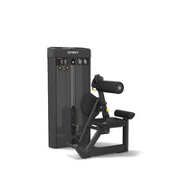 Spirit Fitness Abdominal Machine