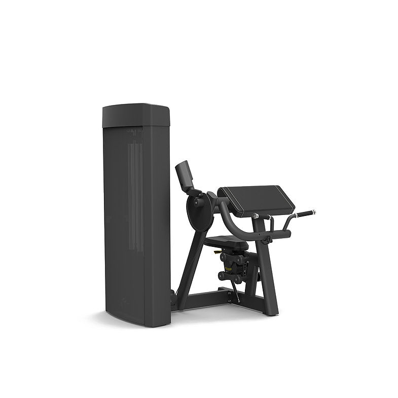 Flexion des biceps Spirit Fitness
