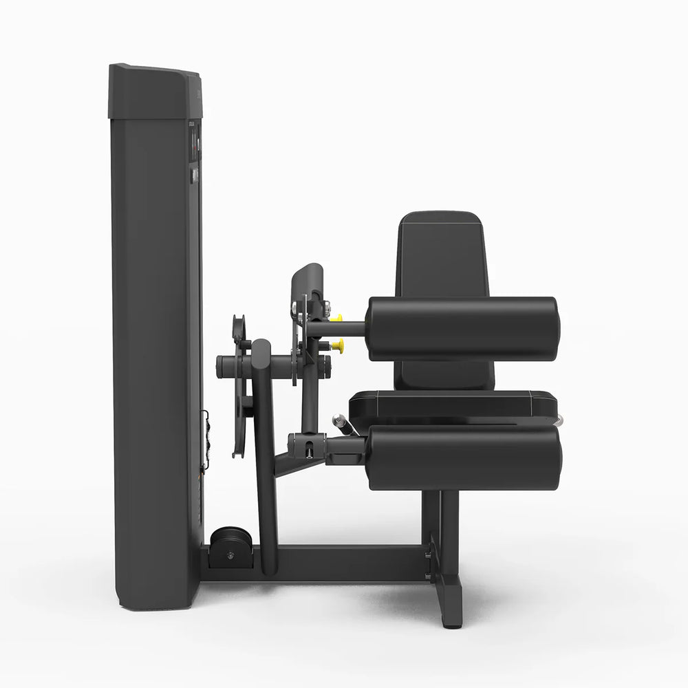 Flexion des jambes Spirit Fitness