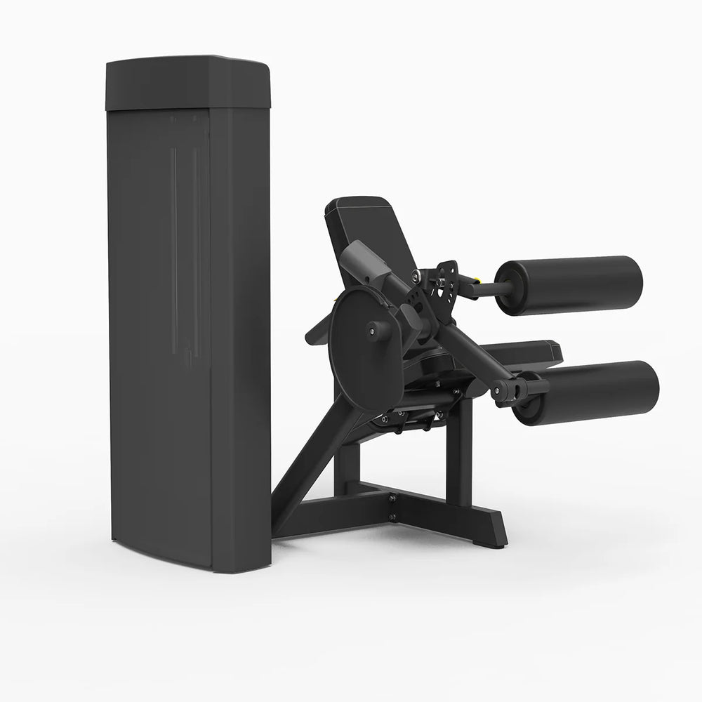 Flexion des jambes Spirit Fitness