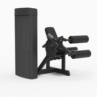 Flexion des jambes Spirit Fitness