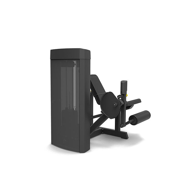 Extension des jambes Spirit Fitness