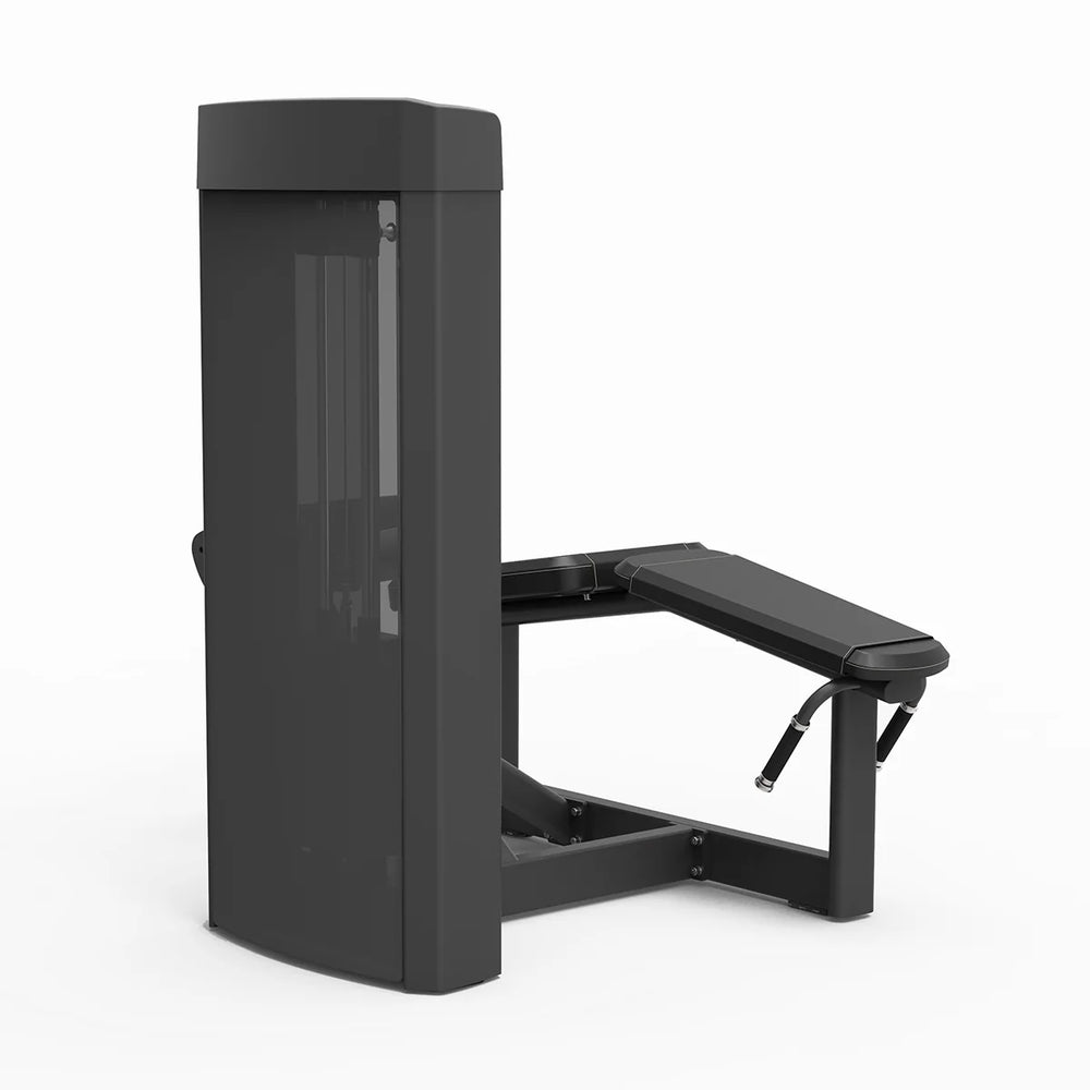 Flexion des jambes allongée Spirit Fitness