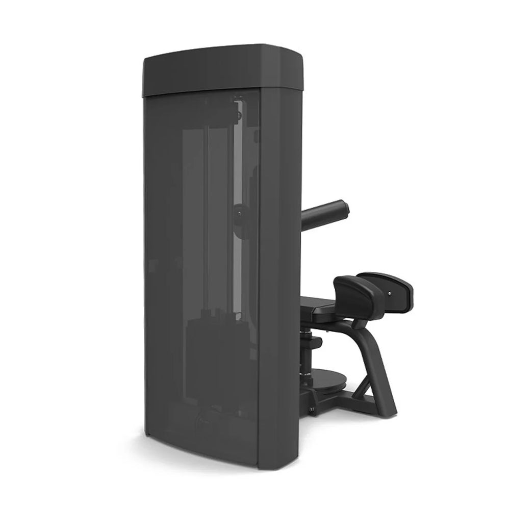 Rotation du torse Spirit Fitness