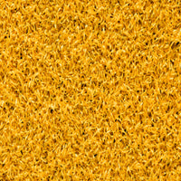 Piste de sprint Uni Outdoor 10 m x 2 m - Jaune