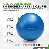 Tunturi Ballon de fitness anti éclatement bleu - 55 cm
