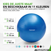 Tunturi Fitnessbal anti burst blauw - 75 cm