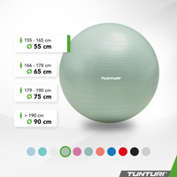 Tunturi Ballon de fitness anti éclatement menthe - 55 cm