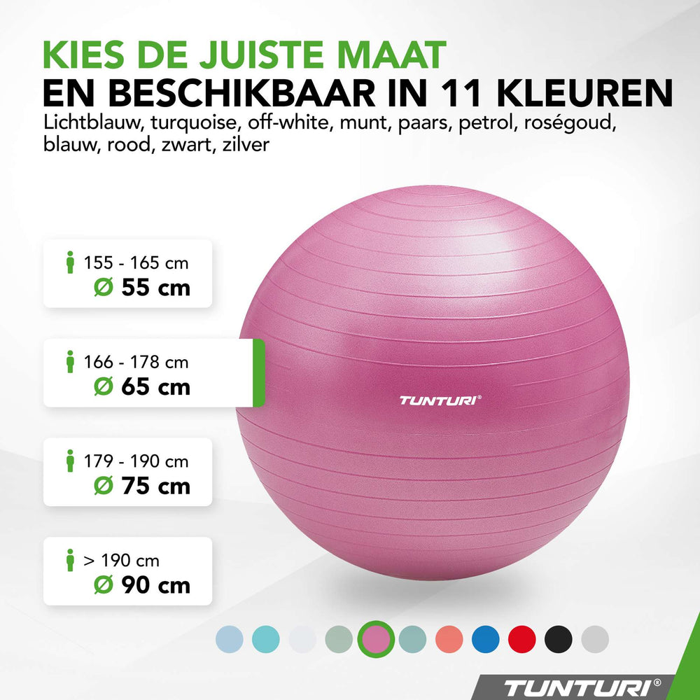 Tunturi Ballon de fitness anti éclatement violet - 65 cm