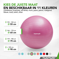 Tunturi Fitnessbal anti burst paars - 65 cm