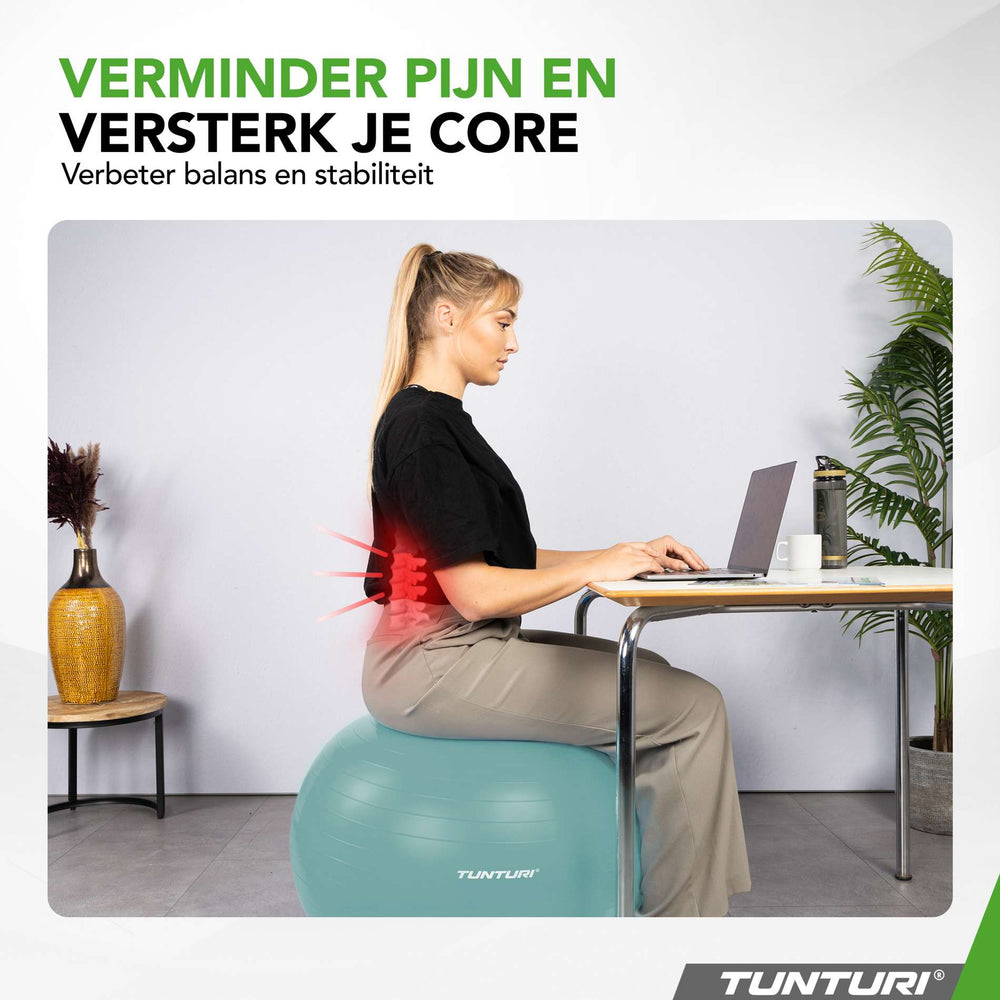 Tunturi Ballon de fitness anti éclatement essence - 65 cm