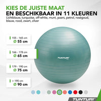 Tunturi Fitnessbal anti burst petrol - 65 cm