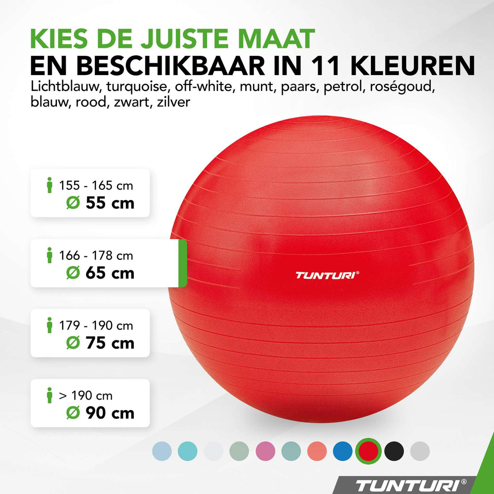 Ballon de fitness anti-éclatement Tunturi rouge - 65 cm