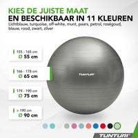 Tunturi Fitnessbal anti burst zilver - 65 cm
