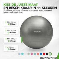 Tunturi Fitnessbal anti burst zilver - 75 cm