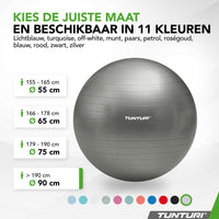 Tunturi Fitnessbal anti burst zilver - 90 cm