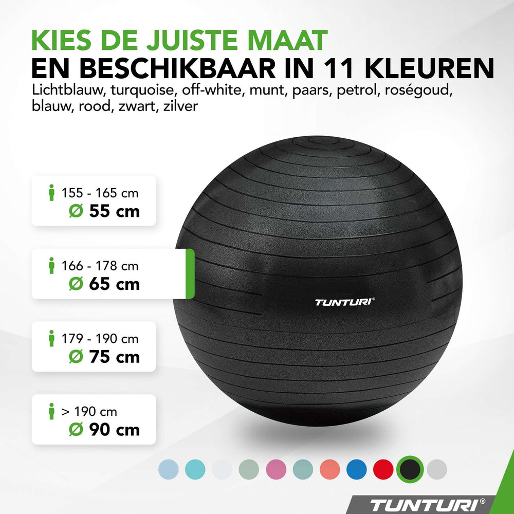 Tunturi Fitnessbal anti burst zwart - 65 cm