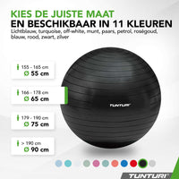Tunturi Fitnessbal anti burst zwart - 65 cm