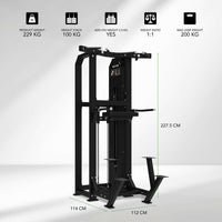 Tunturi Platinum V-Series Traction et dips à double assistance
