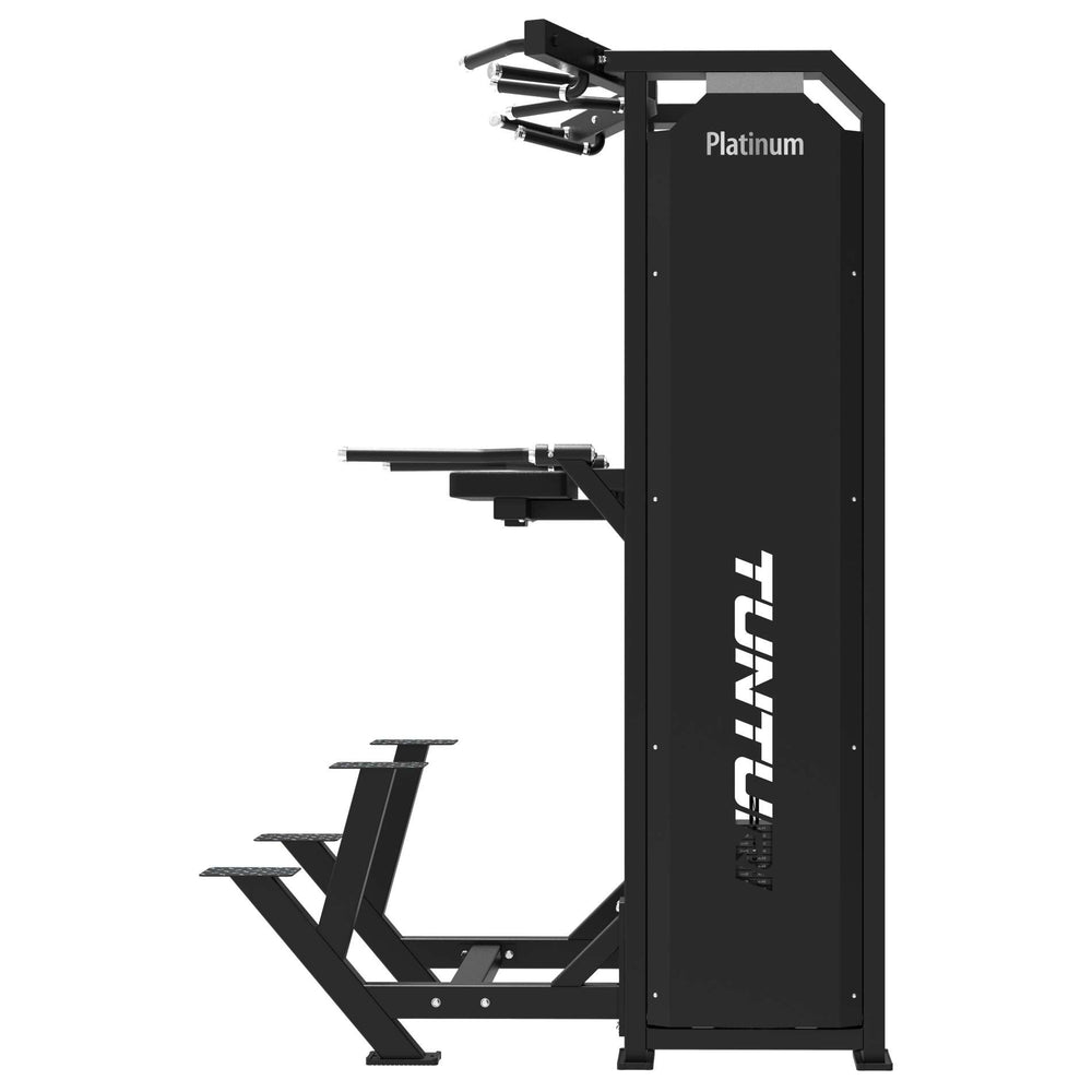 Tunturi Platinum V-Series Traction et dips à double assistance