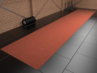 Sprinttrack Uni Outdoor 10m x 2m - Rood