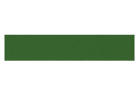 Sprinttrack Uni Outdoor 10m x 2m - Groen