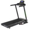 cardio-fit-t40-2020-loopband